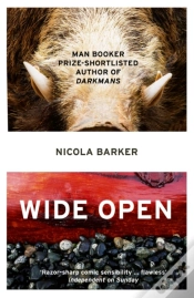 Capa do artigo Wide Open