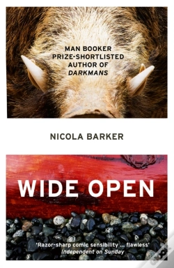 Capa do artigo Wide Open