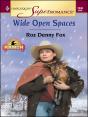 Wide Open Spaces - Preview