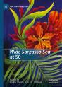Wide Sargasso Sea At 50 - Preview