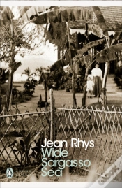 Capa do artigo Wide Sargasso Sea