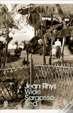 Capa do artigo Wide Sargasso Sea