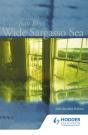 Wide Sargasso Sea - Preview