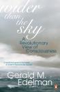Wider Than The Sky - Preview