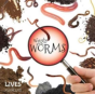 Wiggly Worms - Preview