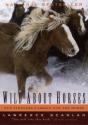 Wild About Horses - Preview
