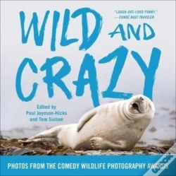 Capa do artigo Wild And Crazy