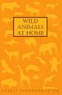 Wild Animals At Home - Preview