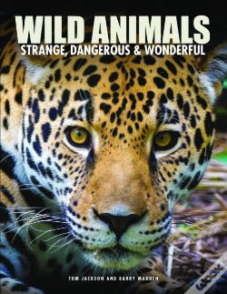 Capa do artigo Wild Animals