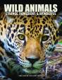 Wild Animals - Preview