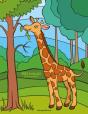 Wild Animals Coloring Book 3 - Preview