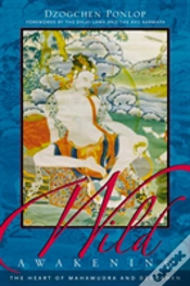 Capa do artigo Wild Awakening
