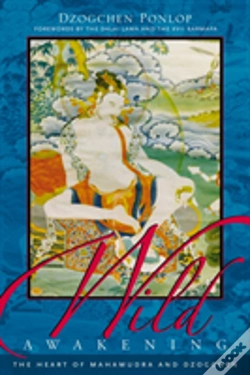 Capa do artigo Wild Awakening
