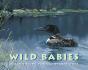 Wild Babies - Preview