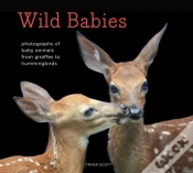 Capa do artigo Wild Babies