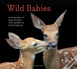 Capa do artigo Wild Babies