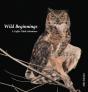 Wild Beginnings - Preview