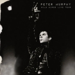Capa do artigo Wild Birds Live Tour - CD