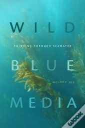 Wild Blue Media