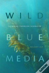 Wild Blue Media