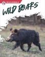 Wild Boars - Preview