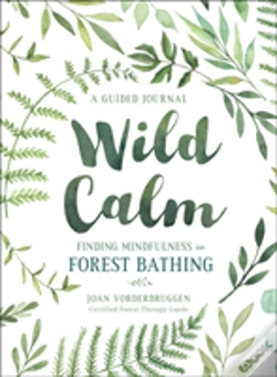 Capa do artigo Wild Calm