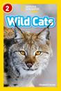 Wild Cats - Preview