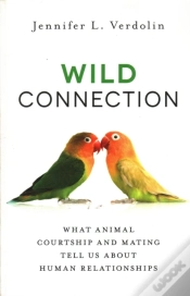 Capa do artigo Wild Connection