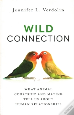 Capa do artigo Wild Connection