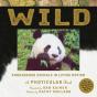 Wild - Preview