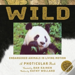Capa do artigo Wild