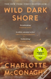 Capa do artigo Wild Dark Shore