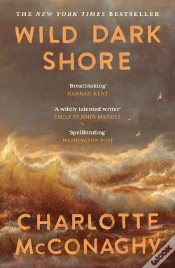 Capa do artigo Wild Dark Shore