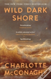 Capa do artigo Wild Dark Shore
