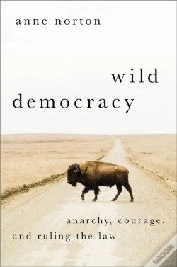 Capa do artigo Wild Democracy