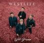 Wild Dreams - CD - Preview