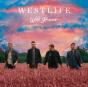 Wild Dreams - CD - Preview