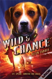 Capa do artigo Wild & Chance