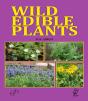 Wild Edible Plants - Preview