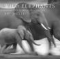 Wild Elephants - Preview