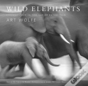 Capa do artigo Wild Elephants