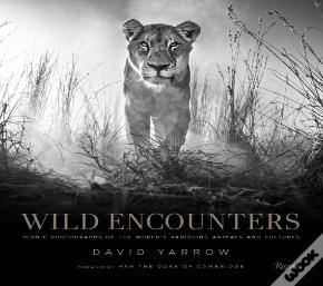 Wild Encounters