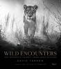 Wild Encounters - Preview