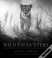 Capa do artigo Wild Encounters