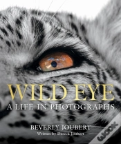 Capa do artigo Wild Eye