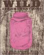 Wild Fermentation - Preview