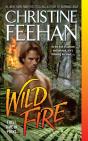 Wild Fire - Preview