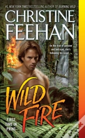 Capa do artigo Wild Fire