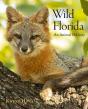 Wild Florida - Preview