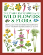 Wild Flowers & Flora, The World Encyclopedia Of - Preview